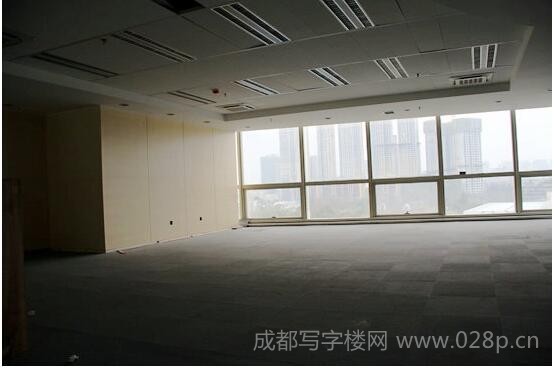 成都339
